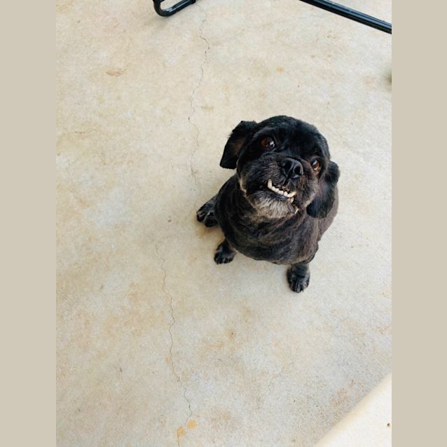 Photo of Dennis 💜