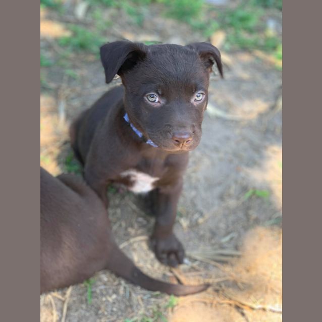 Photo of Freddo 