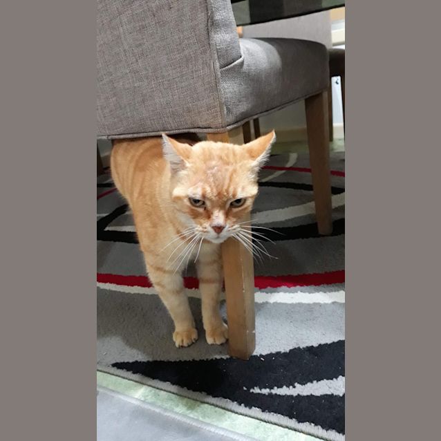 Photo of Bob 