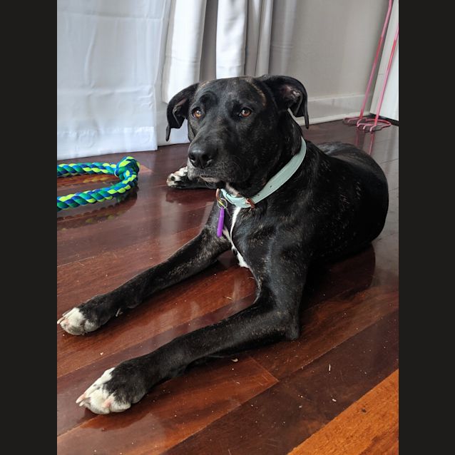 Photo of Lexi Dl2270