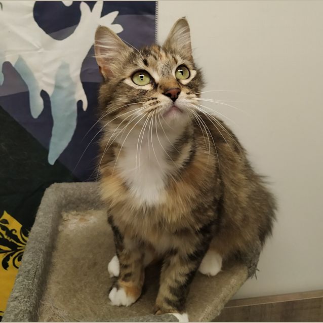 Photo of Mia