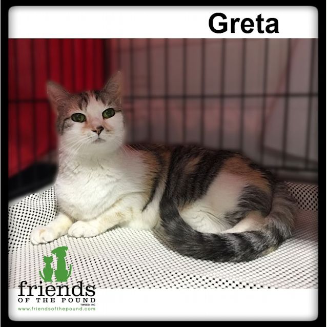 Photo of Greta