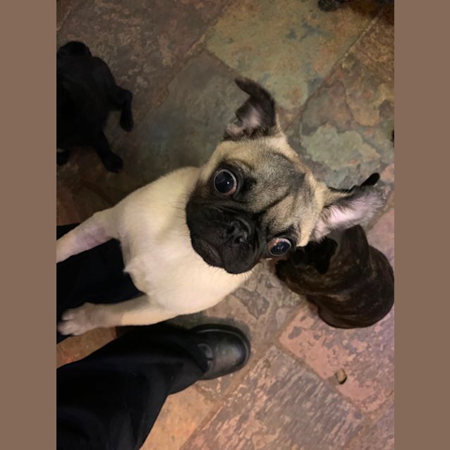Photo of Clifford