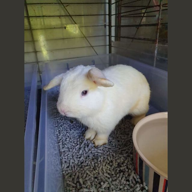 Photo of Finn & Bailey + Holly