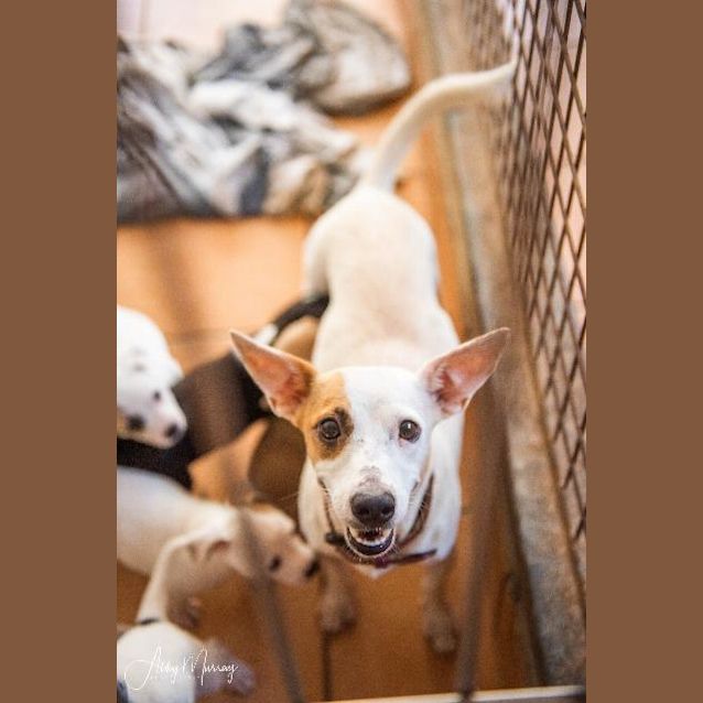 Photo of Annie