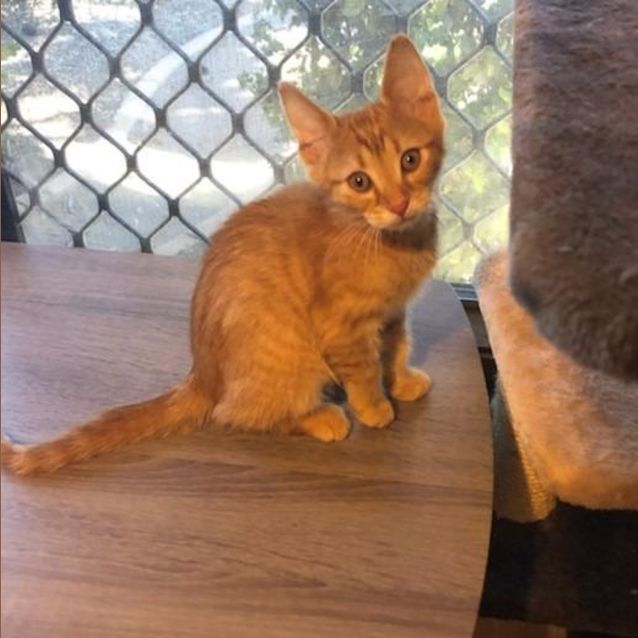 Photo of Earl