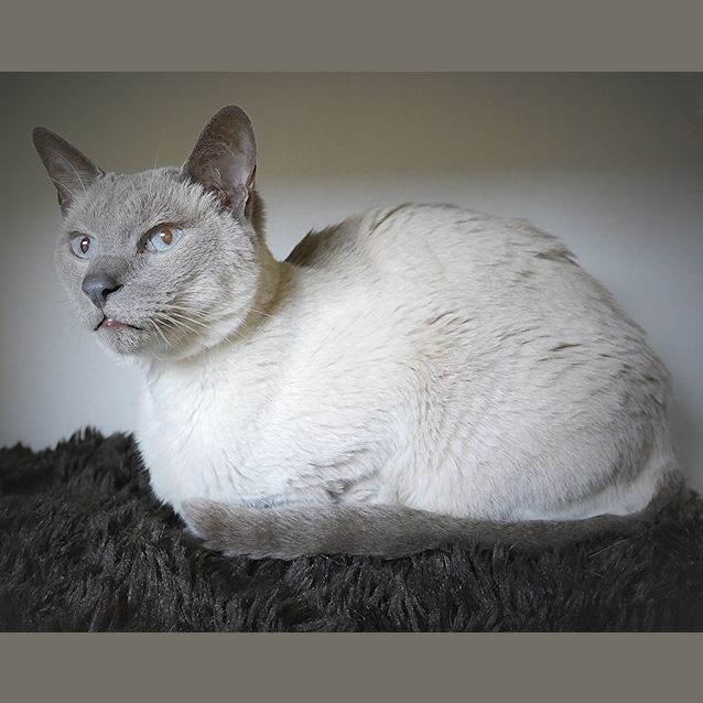 Photo of Patrick Sua004446