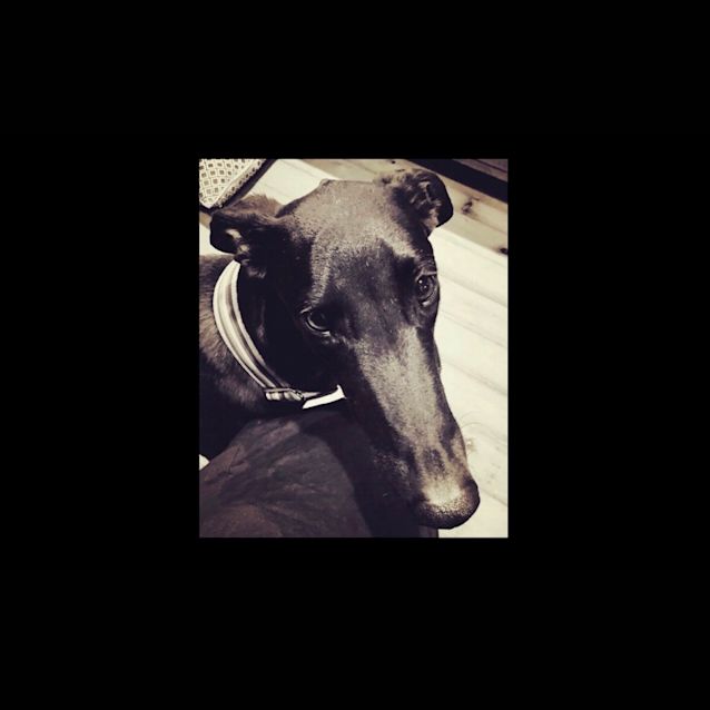 Photo of Mr Leroy Brown