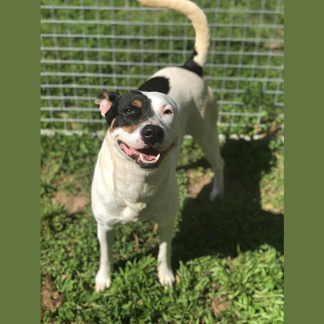 Photo of # 1426 Missy