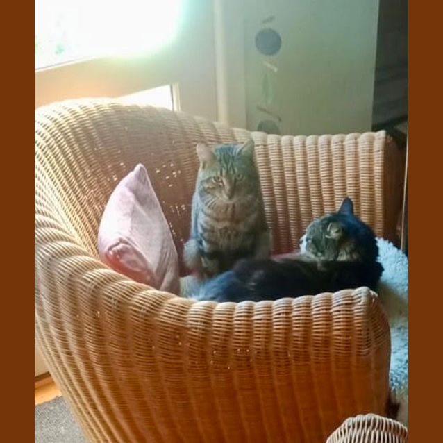 Photo of Sonny   Meet Me At Neko Hq In Preston