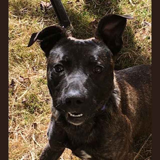 Photo of Jake