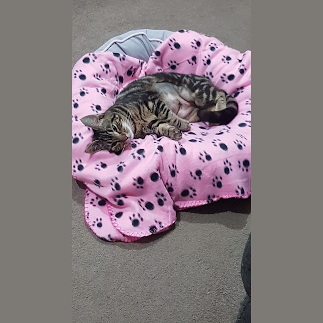 Photo of Maisey