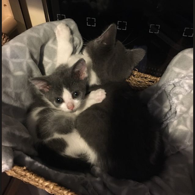 Photo of Mooshu
