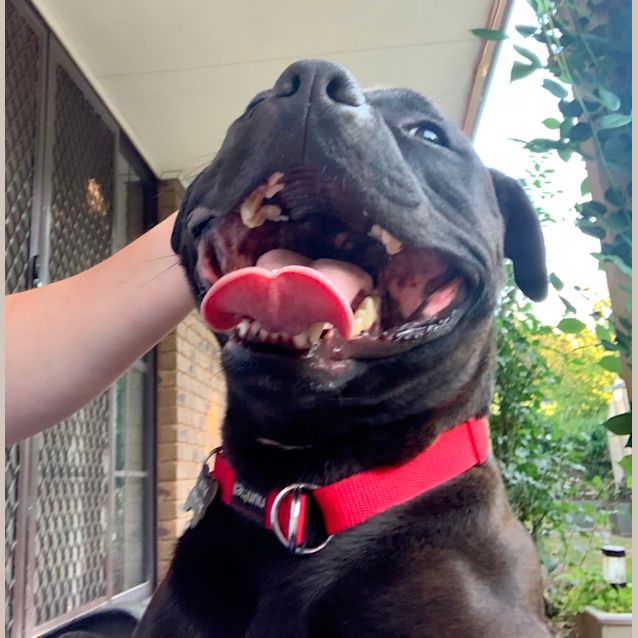 Photo of 🔷 Shadow 🔷