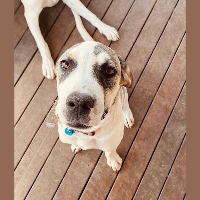 Photo of Dorothy 