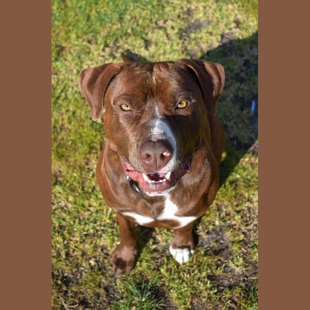 Photo of Cooper