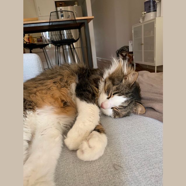 Photo of Henry   Meet Me At Neko Hq In Preston