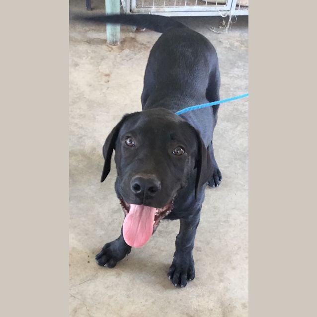 Photo of Solomon And Sophie (Available Separately)