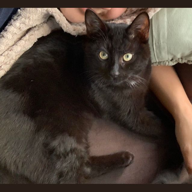 Photo of Scottie   Meet Me At Neko Hq In Preston