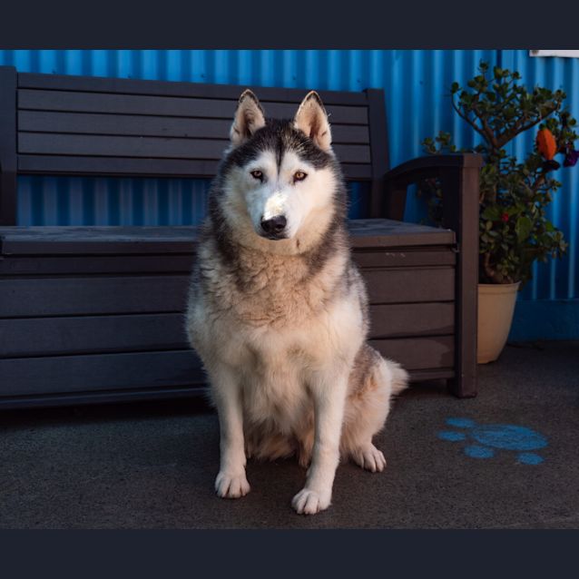 Photo of Keesha
