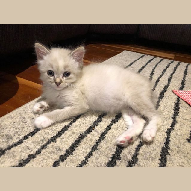 Photo of Castiel