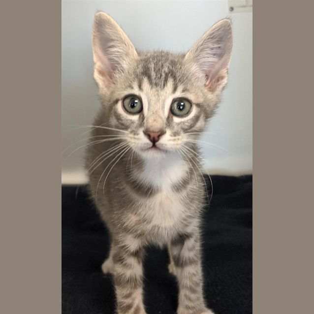Photo of Bean/ O'malley