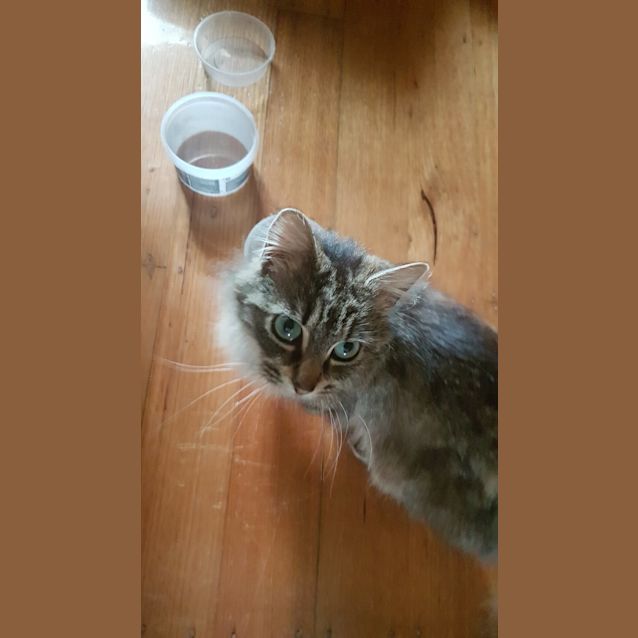 Photo of Keisha   Located In Murrumbeena