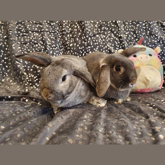 Photo of Agnes And Monty 