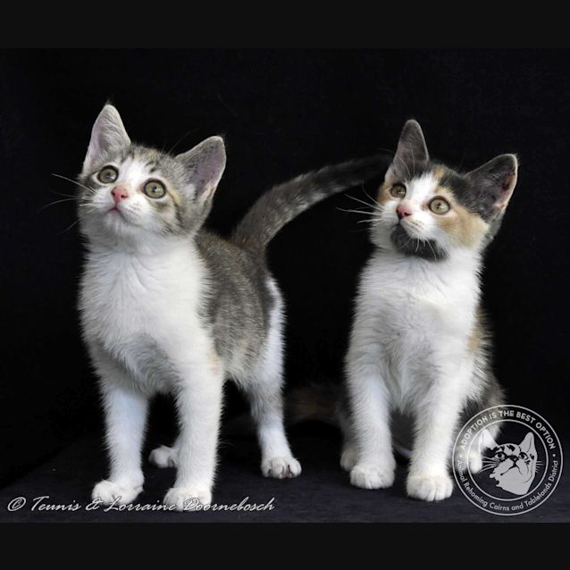 Photo of Ola & Omari