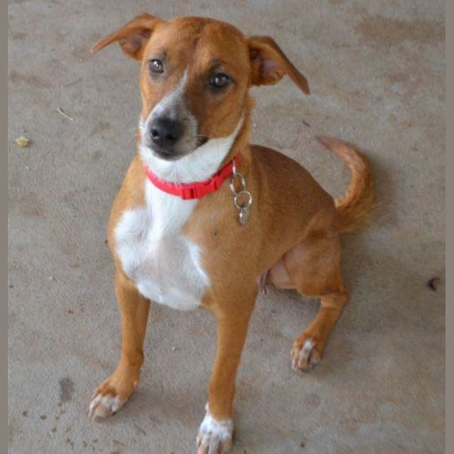 Photo of Lacey
