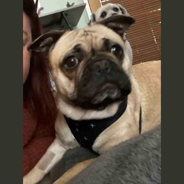 Photo of Tippy Wazowski  