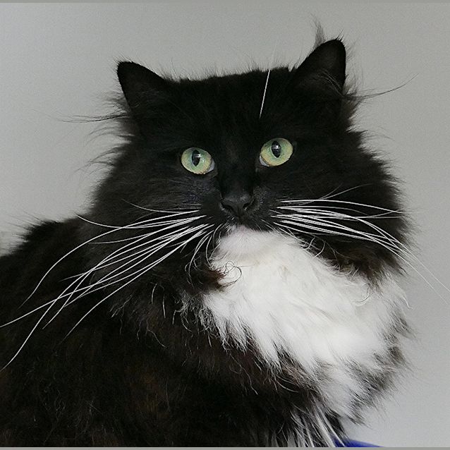 Photo of Lilly Rsua001247