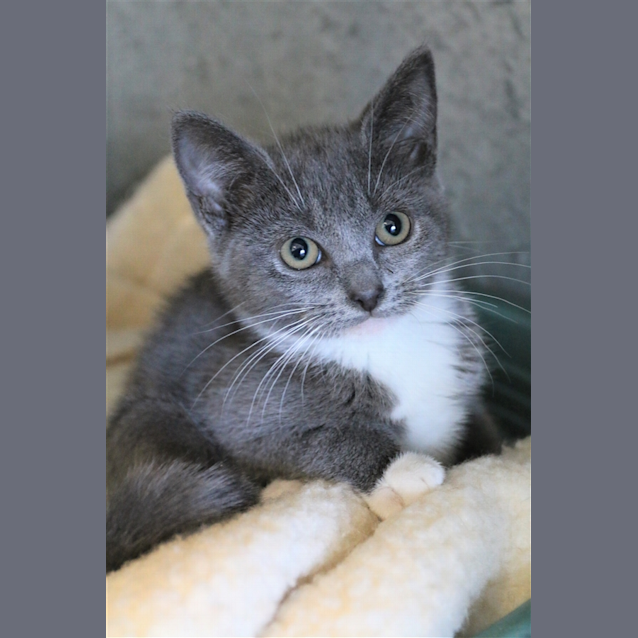 Photo of Tilly