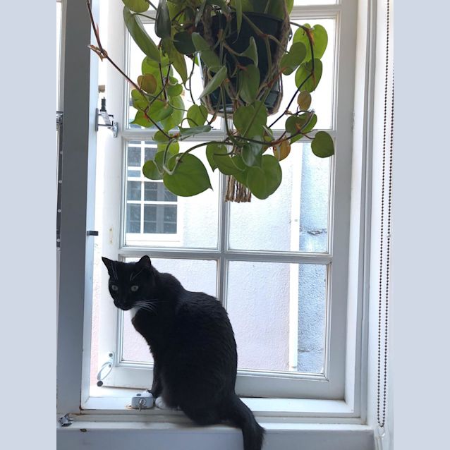 Photo of Charlie