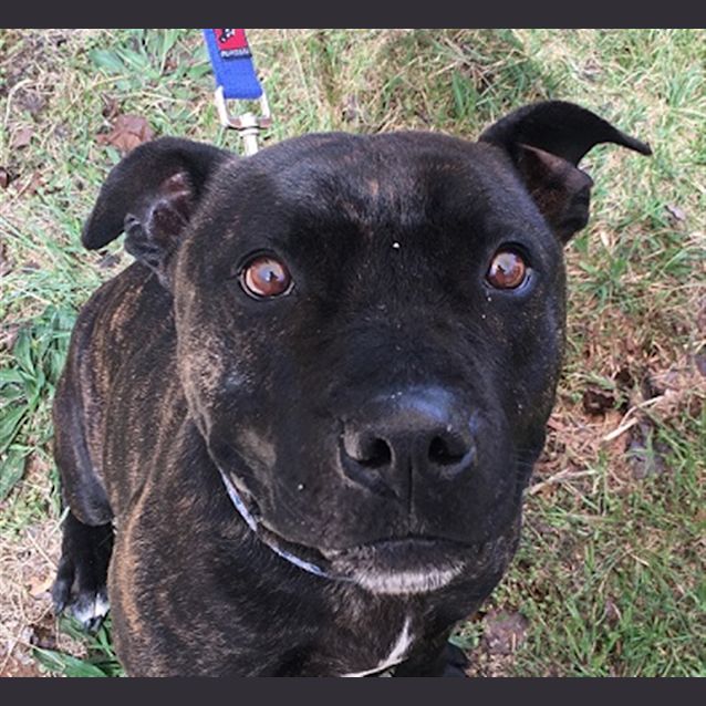 Photo of Hershey