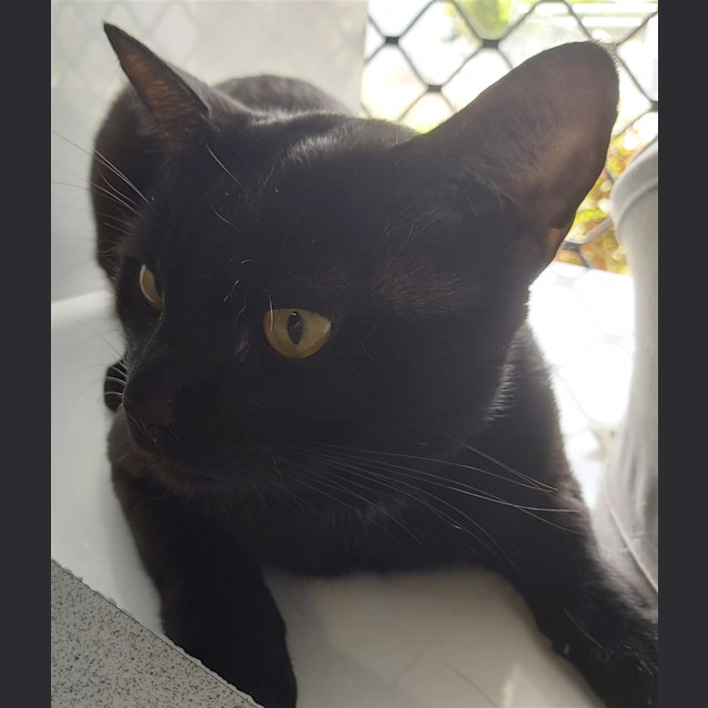 Photo of Fergus