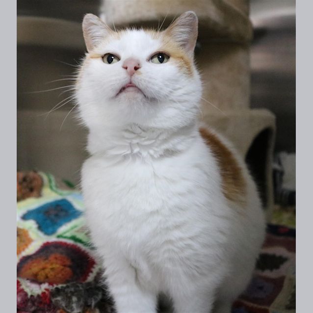 Photo of Aggie