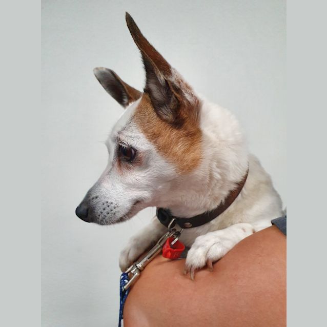 Photo of Buffy 