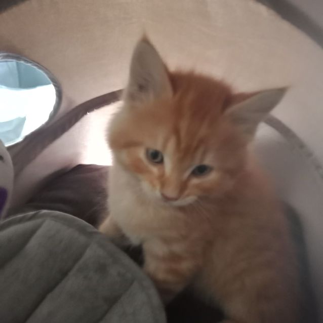 Photo of Storm