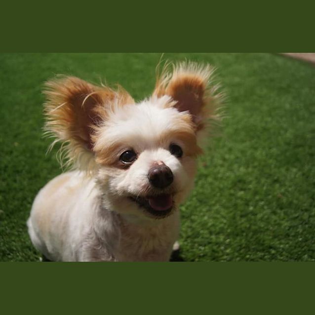 Photo of Harvey D0099