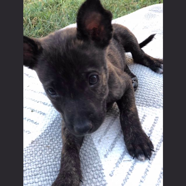 Photo of Gretel