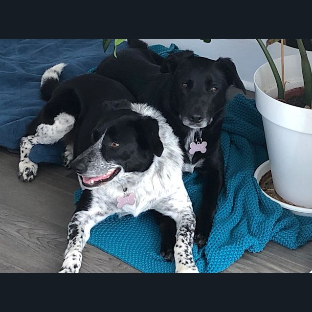 Photo of Ebony & Lily
