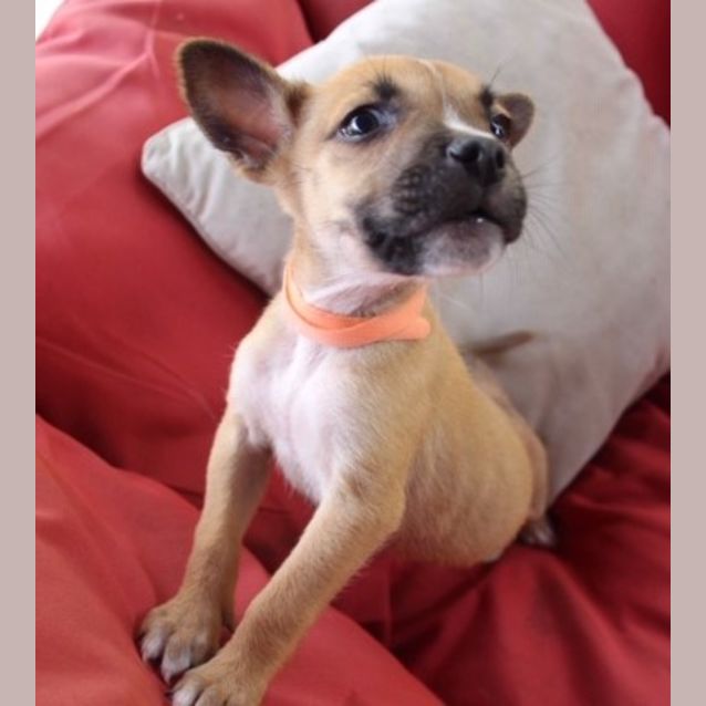 Photo of Neo