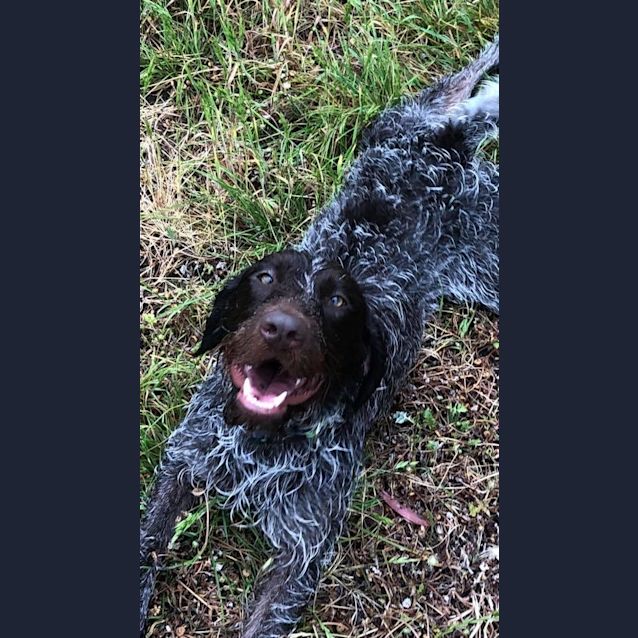 Photo of Heidi Heartbreaker  💖💖💖