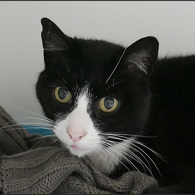 Photo of Esmerelda Sua004525