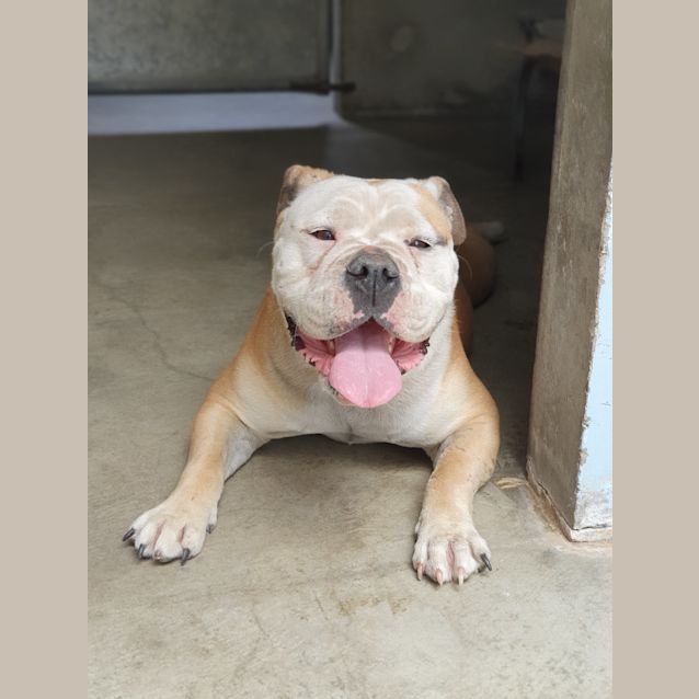 Photo of Winnie