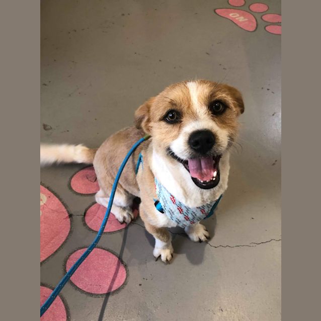 Photo of Spike Db515