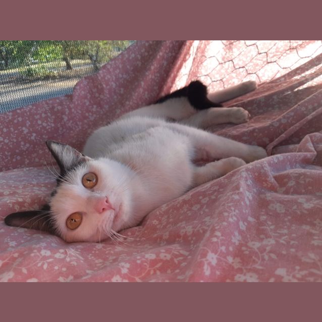 Photo of Heidi 