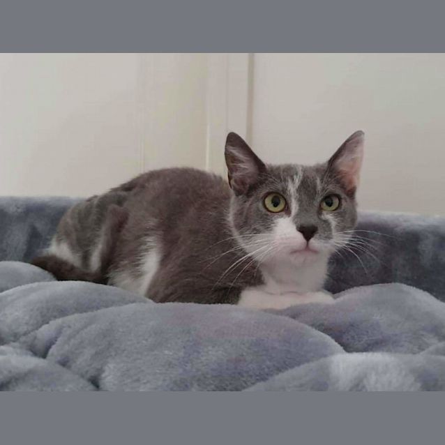 Photo of Kira ❤