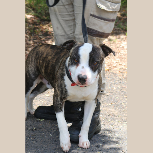 Photo of Reggie
